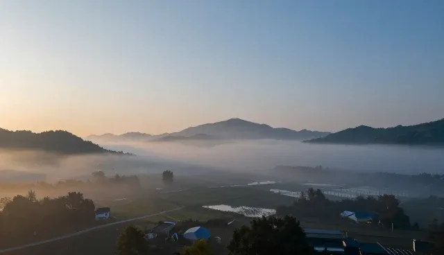 慢性病管理计划选型与使用建议